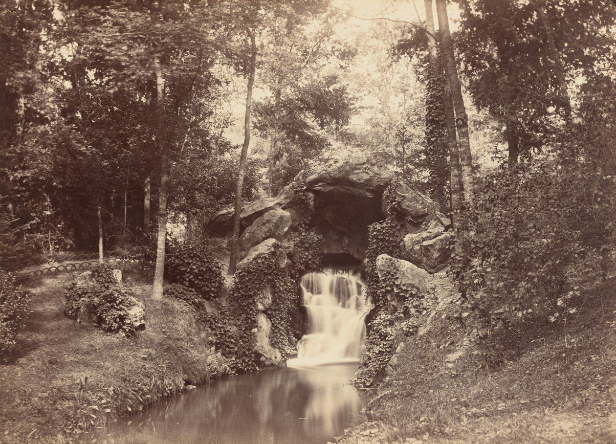 Grot, Mare aux Biches, Bois de Boulogne, 1858-1860 (foto) door Charles Marville