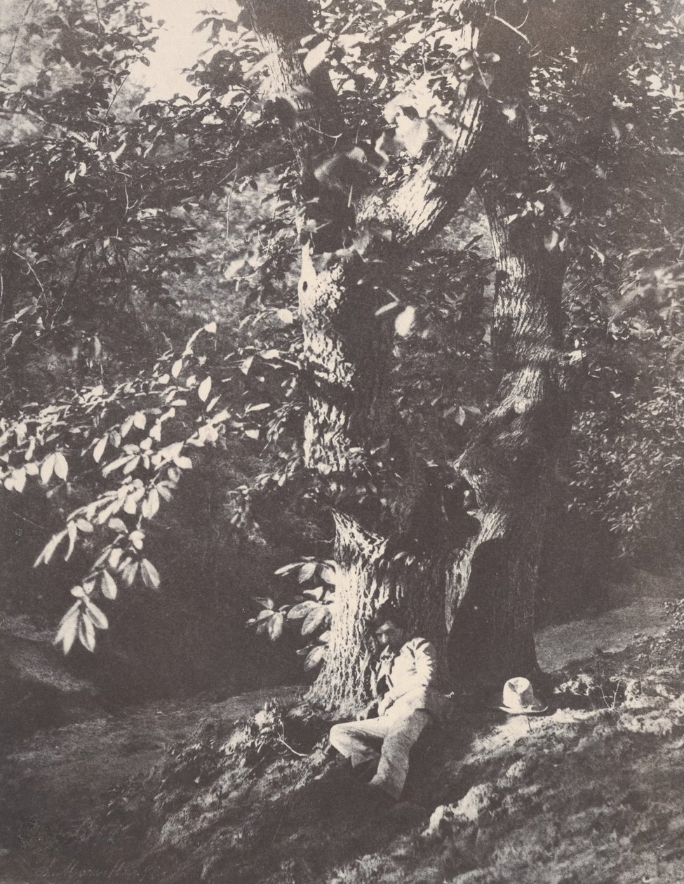 Man liggend aan de voet van een kastanjeboom, 1850-53 door Charles Marville