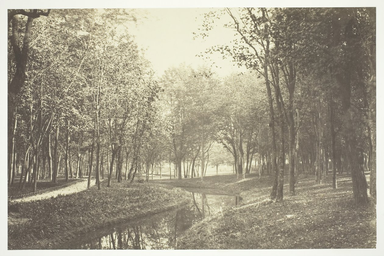 Zonder Titel, ca. 1850. [Bomen bij water in het Bois de Boulogne, een park in Parijs] door Charles Marville