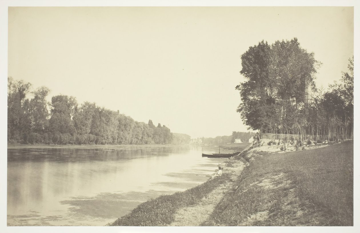 Zonder titel, ca. 1850 [Bomen bij water in het Bois de Boulogne, een park in Parijs] door Charles Marville