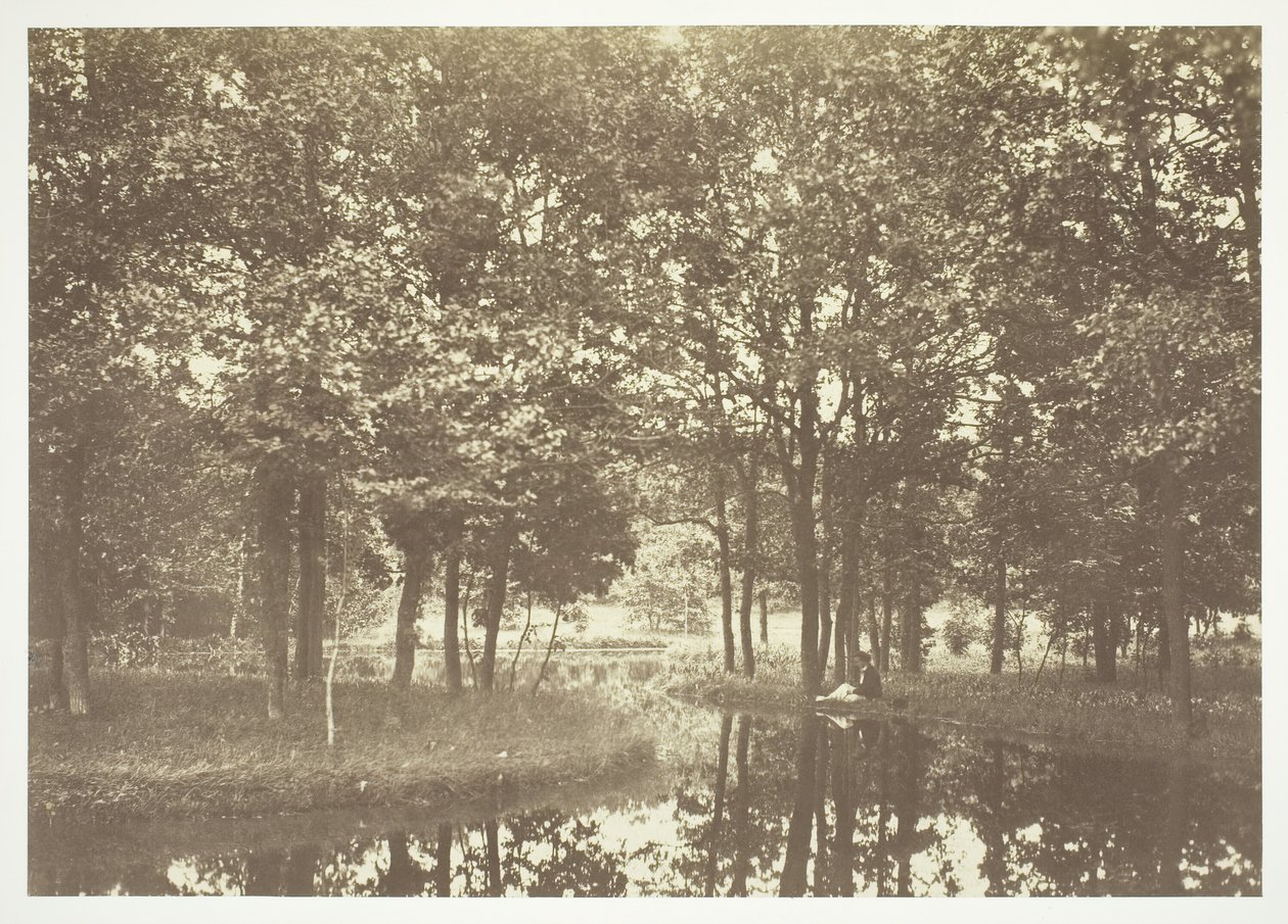 Zonder titel, ca. 1850. [Bomen bij water in het Bois de Boulogne, een park in Parijs] door Charles Marville