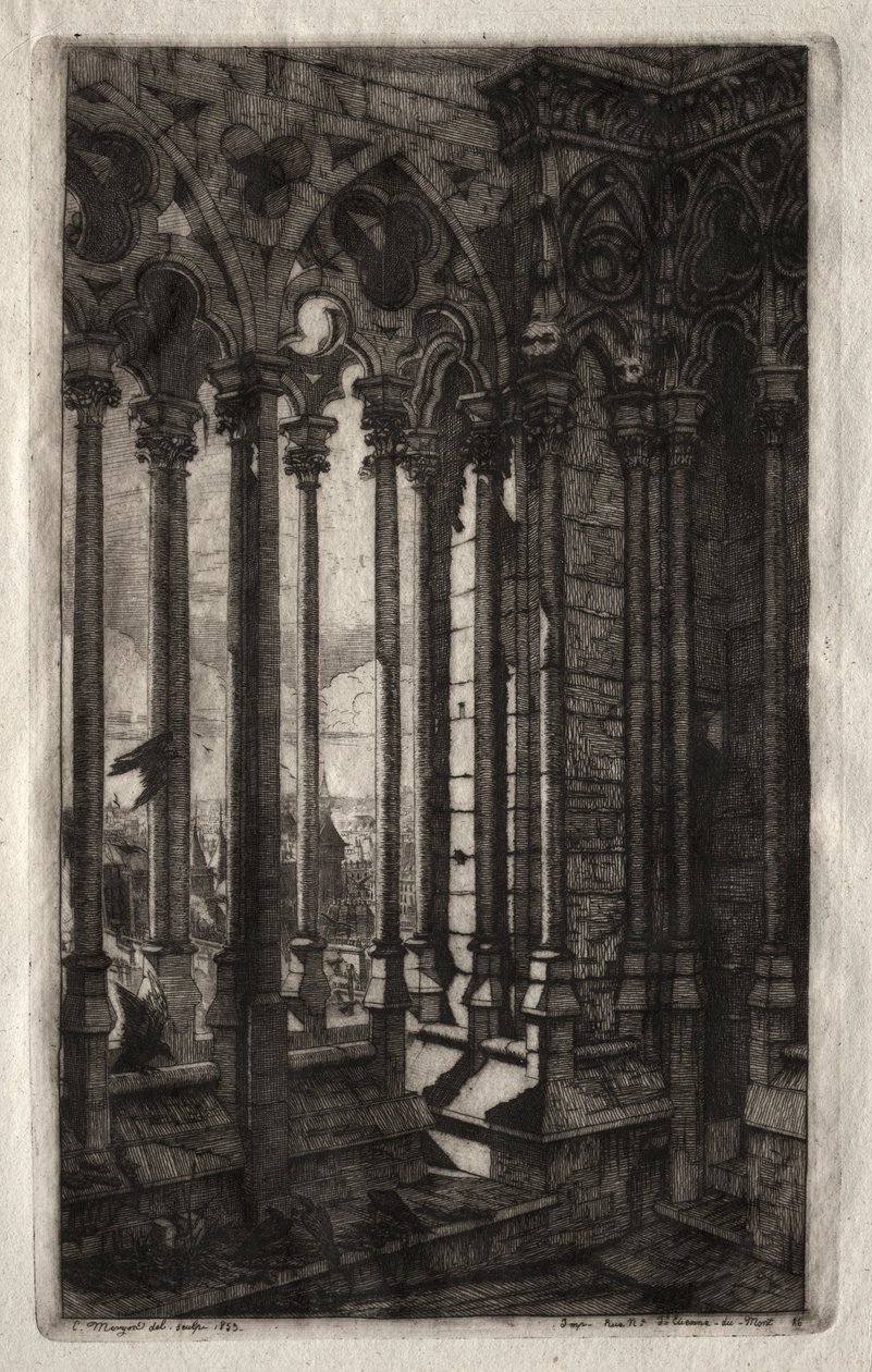 Etsen van Parijs: De galerij van Notre Dame, 1853 door Charles Meryon