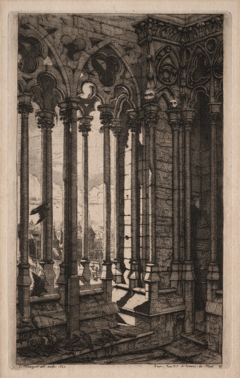 Etsen van Parijs: De galerij van Notre Dame, 1853 door Charles Meryon
