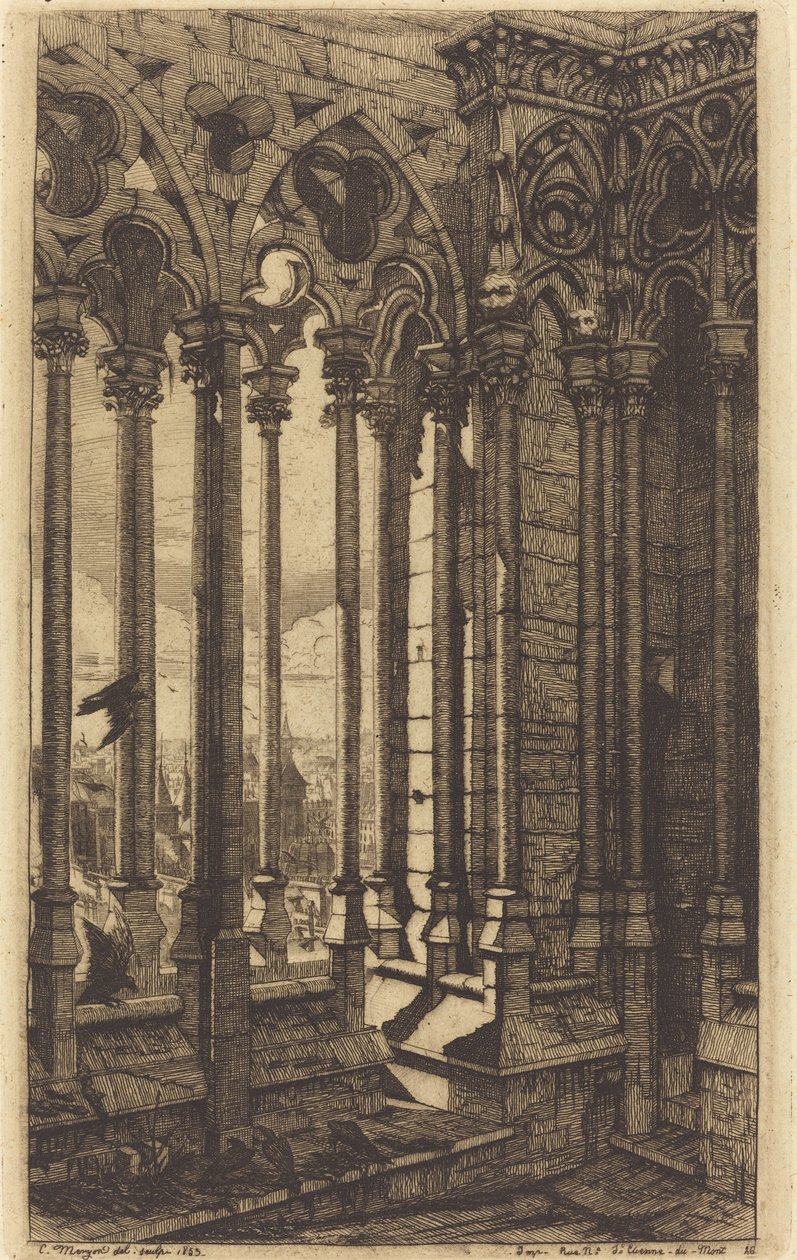 De galerij van Notre Dame, Parijs door Charles Meryon