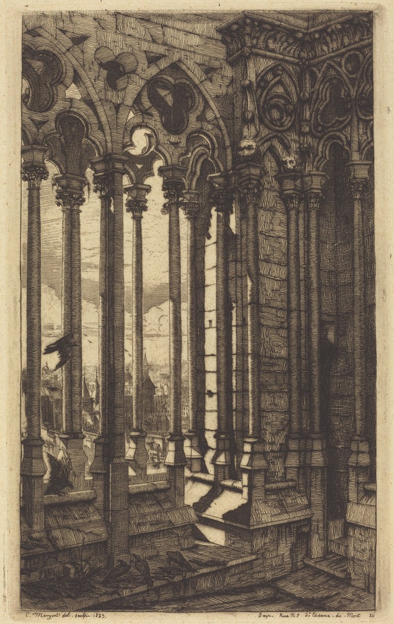 De galerij van Notre-Dame, Parijs door Charles Meryon