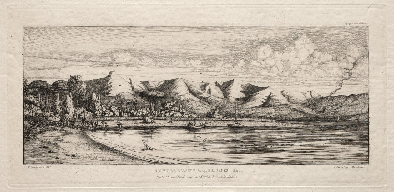 Seine Vissen bij Houtskoolbranderspunt, Akaroa, Banks