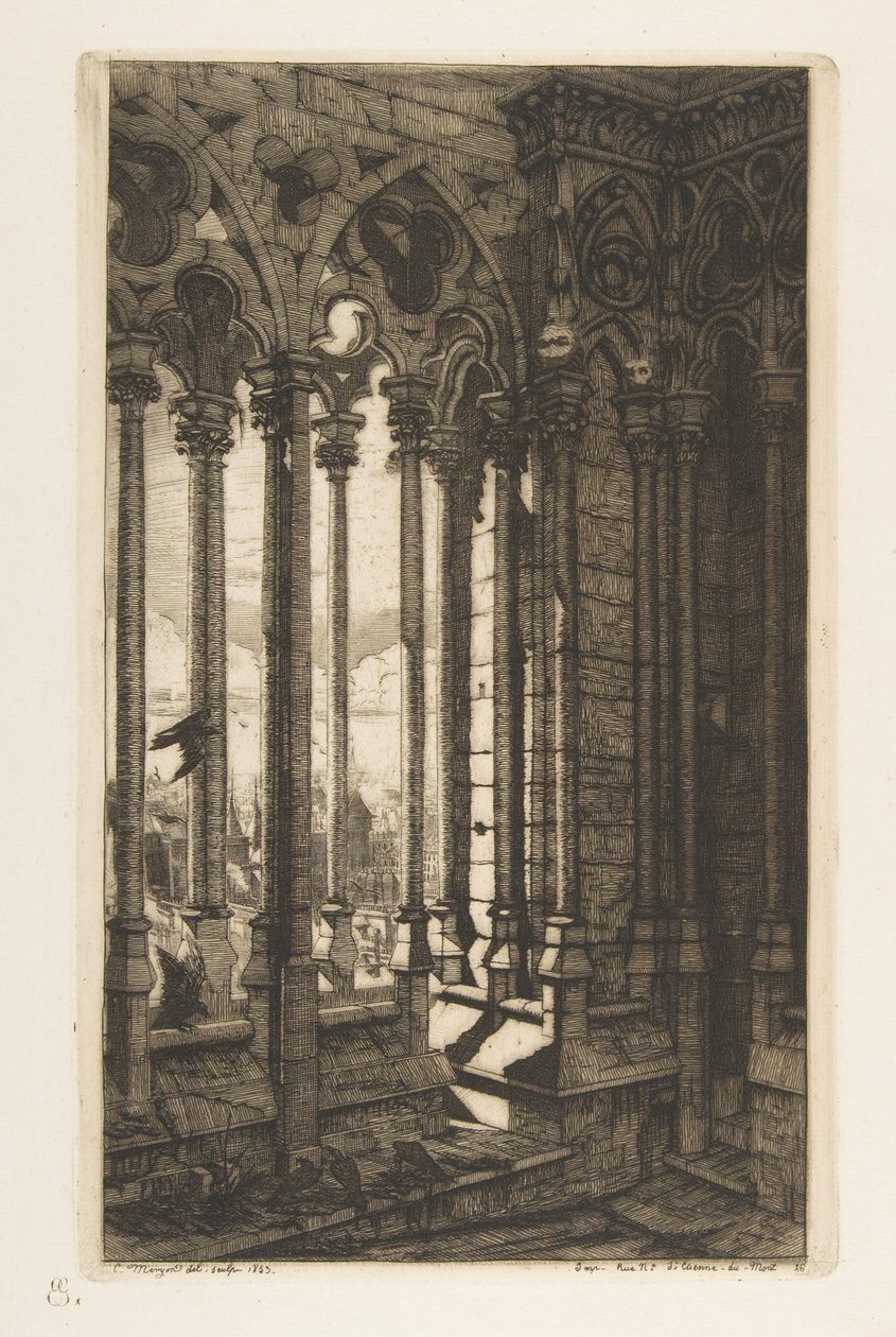 De Galerij, de Notre-Dame-kathedraal, Parijs, uit „Etchings of Paris“ door Charles Meryon