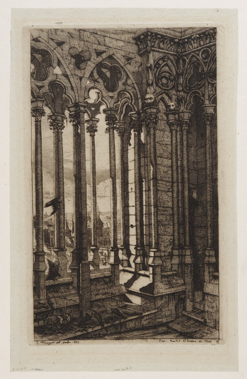 De galerij van Notre-Dame, Parijs door Charles Meryon