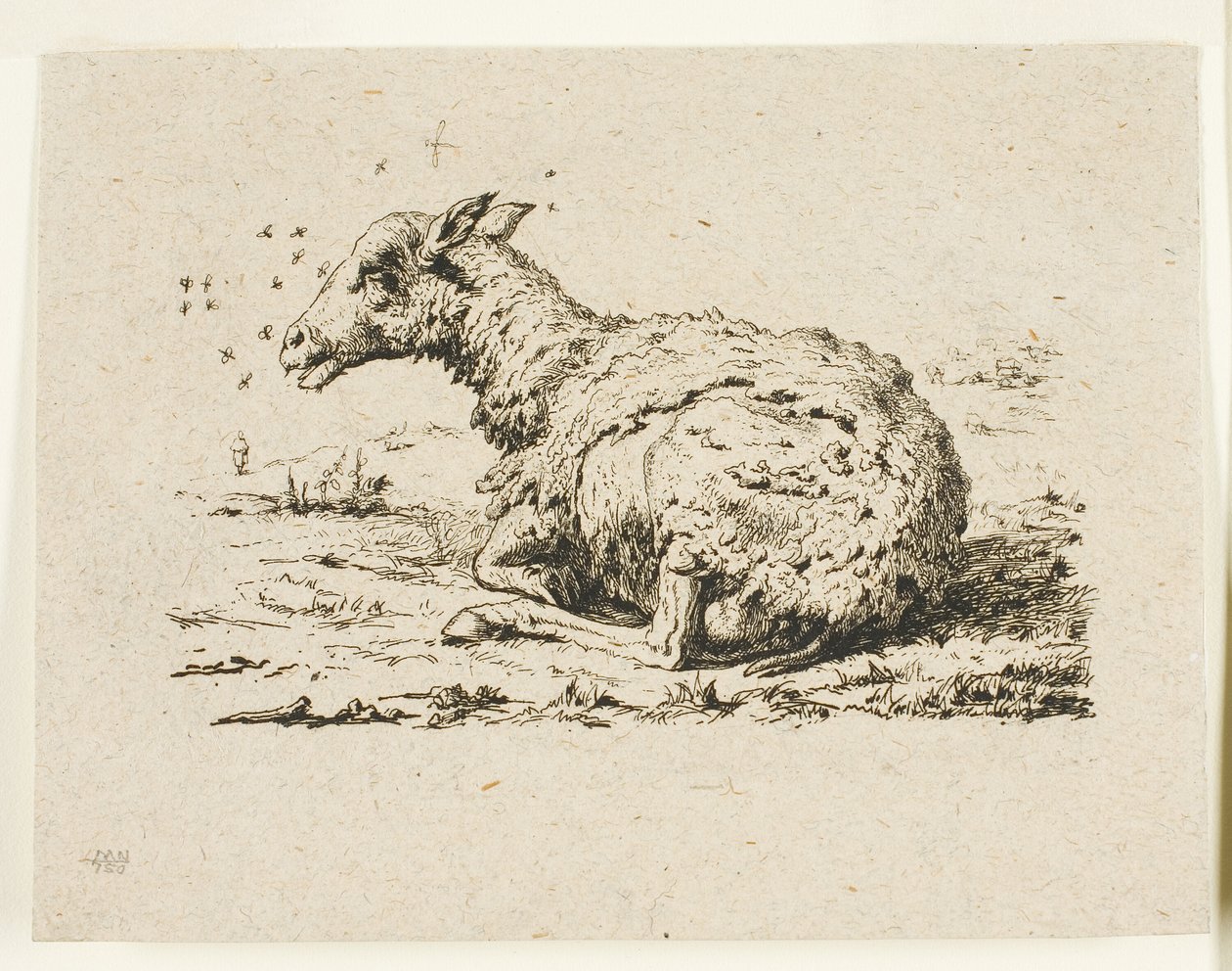 De Schapen en de Vliegen door Charles Meryon
