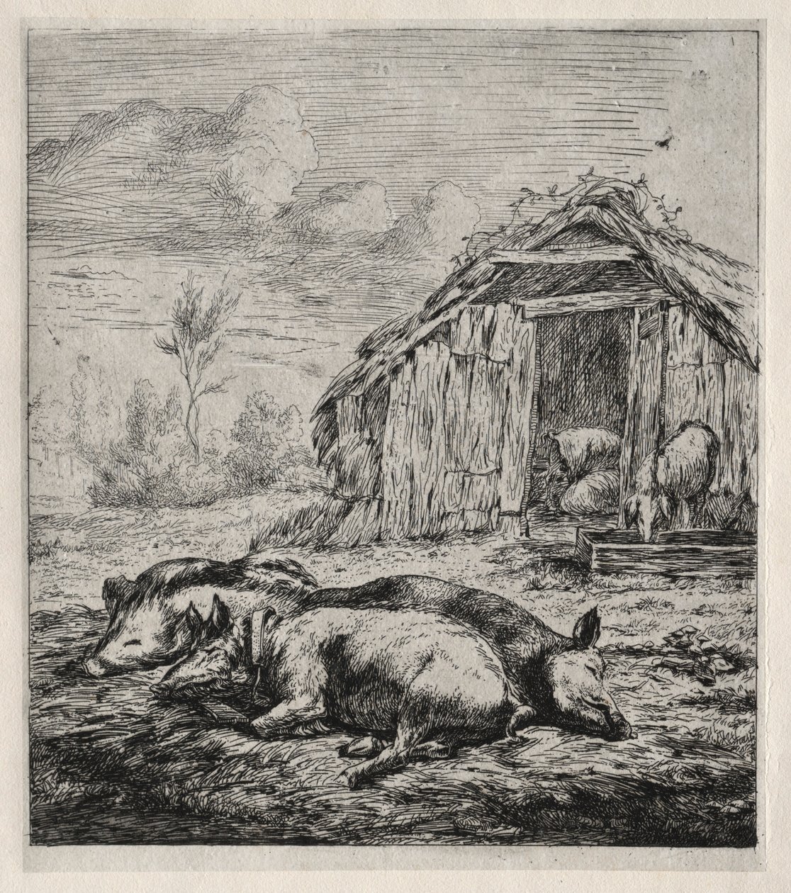 Drie varkens liggend voor een stal, 1850 door Charles Meryon