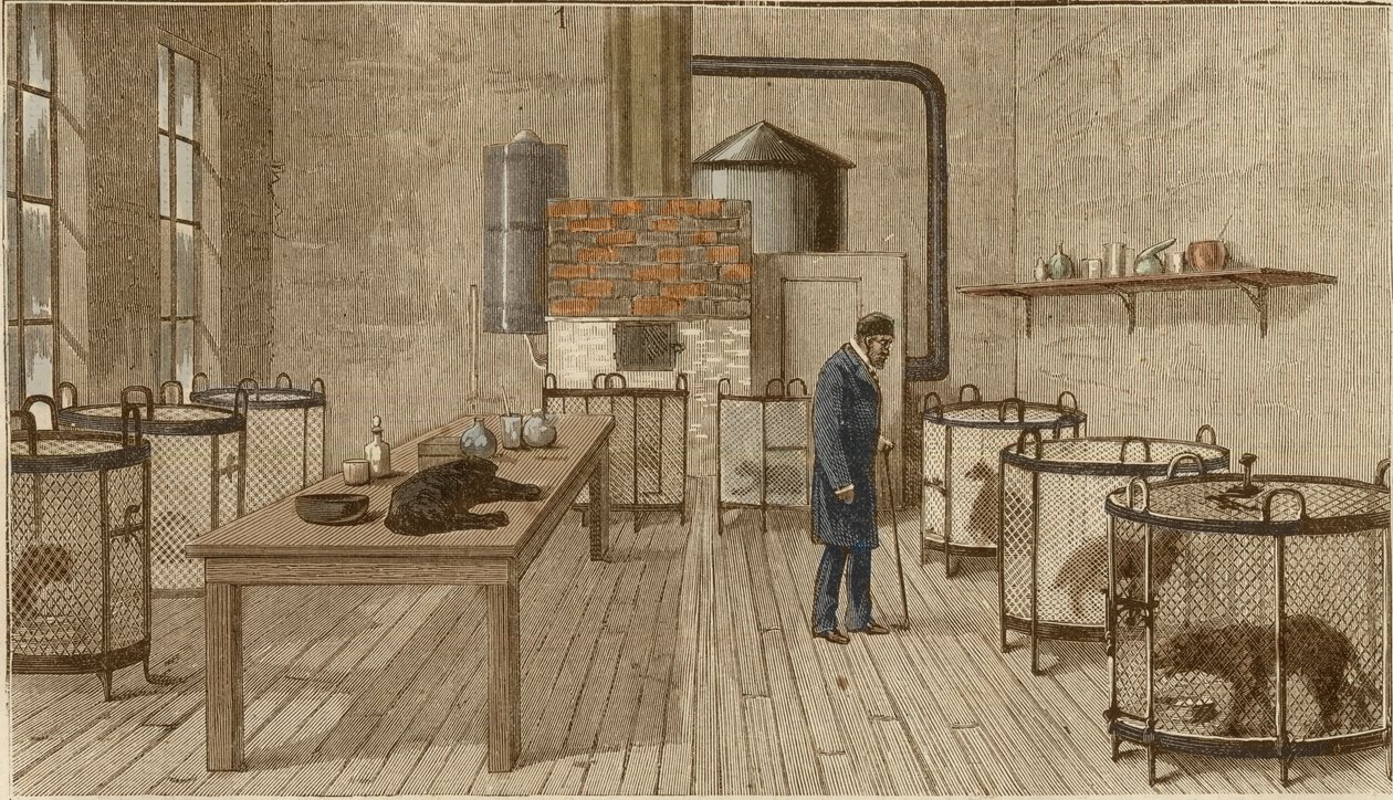 Honden in kooien in het laboratorium van Louis Pasteur door Charles Paul Renouard
