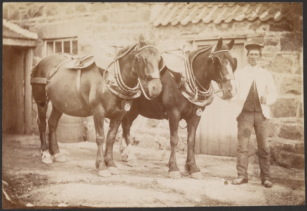[Man met twee paarden] door Charles Reid