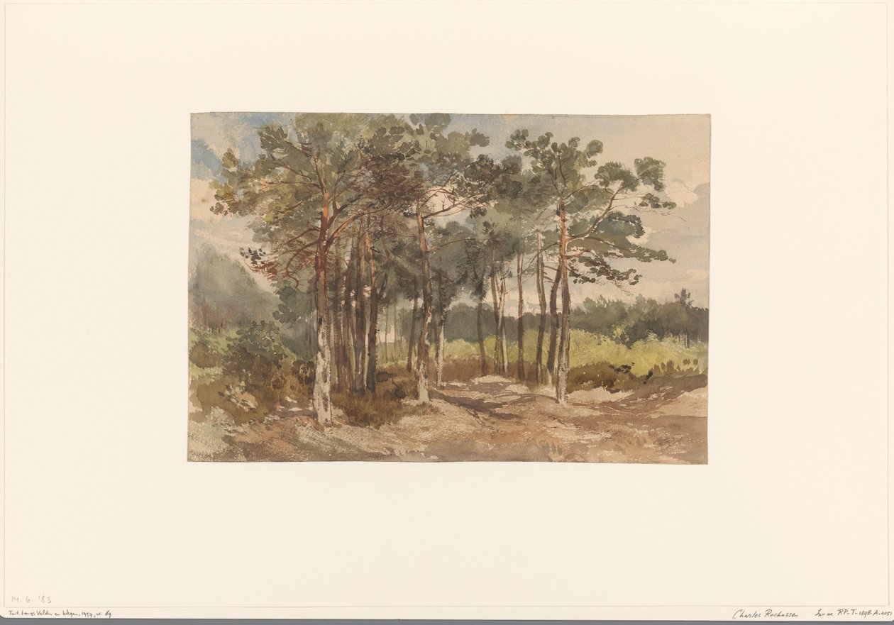 Boomgroep in de bossen bij Driebergen door Charles Rochussen