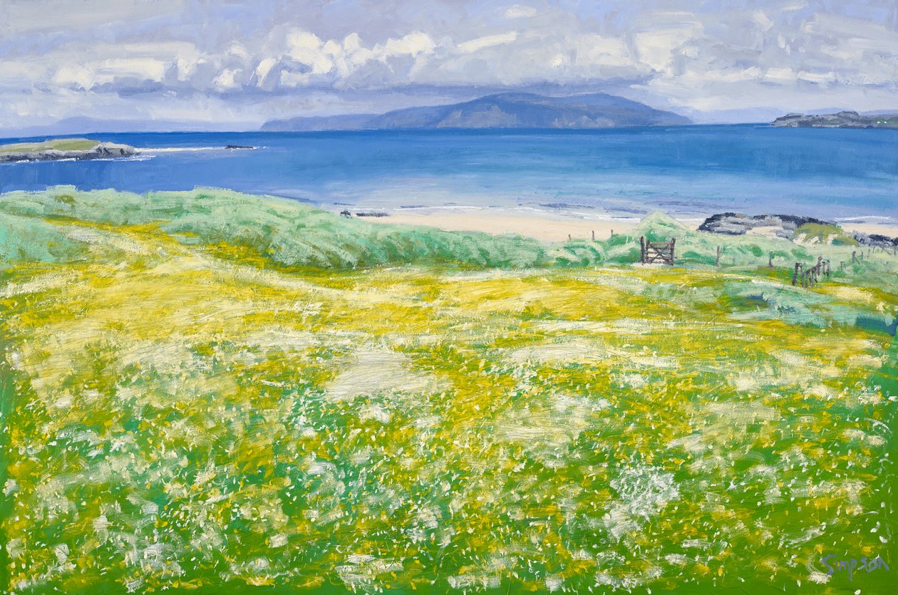 Machair, North End Iona, 2015 (olieverf op doek) door Charles Simpson