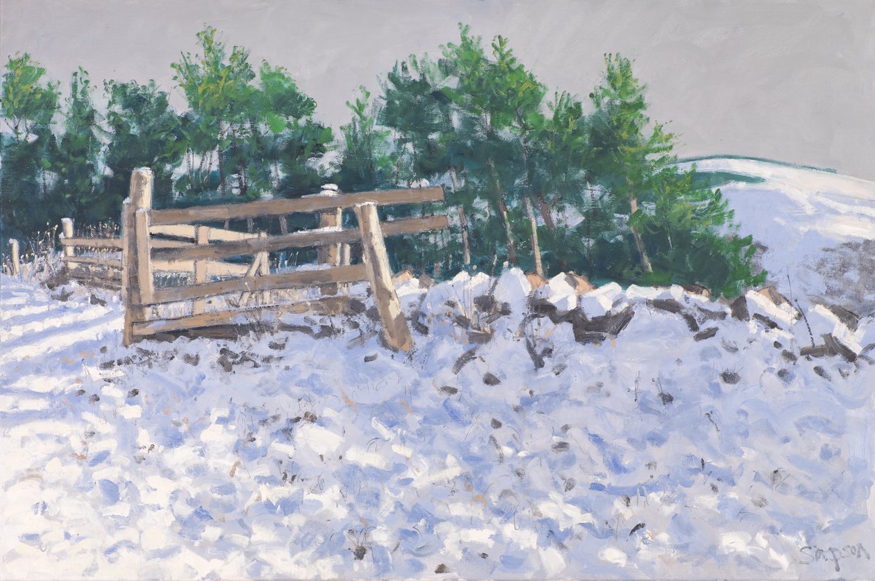Klein bos, Torwoodlee, 2017 (olieverf op doek) door Charles Simpson