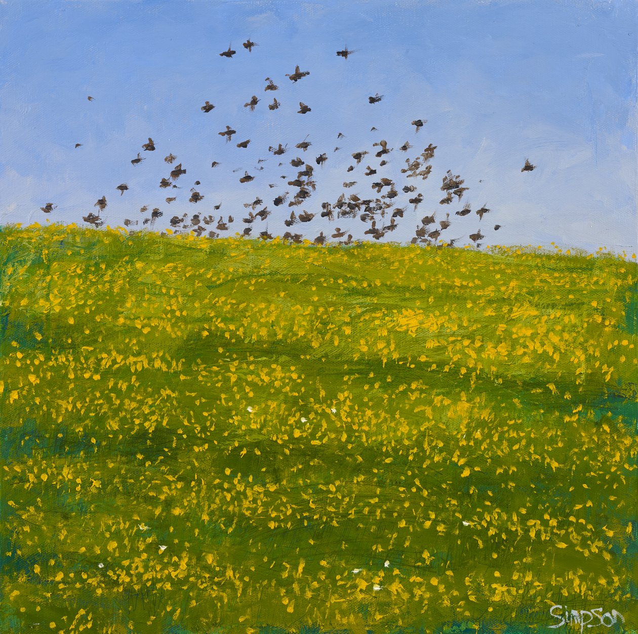 Spreeuwen en boterbloemen, Iona, 2015 (olieverf op doek) door Charles Simpson