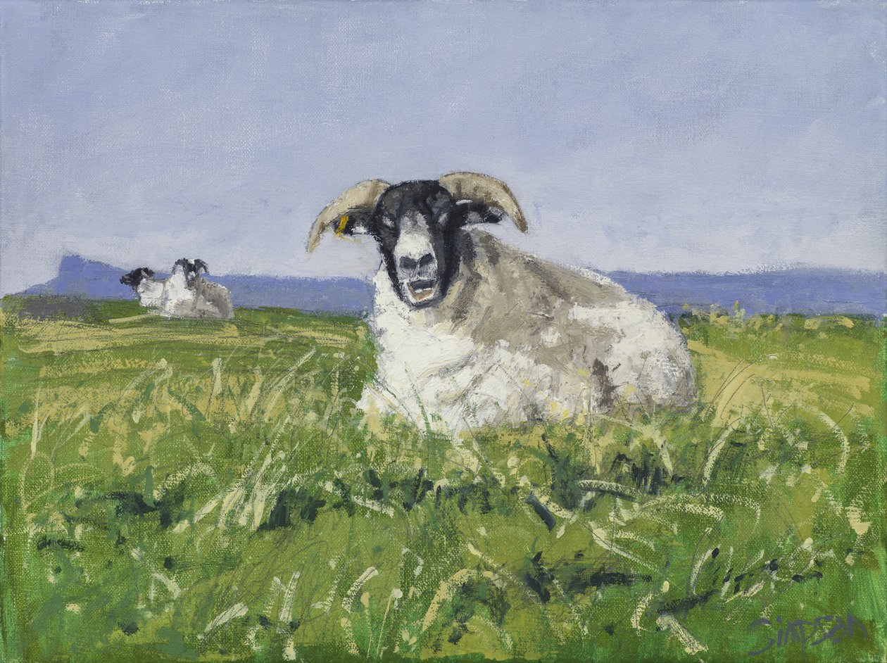 West Coast Sheep, 2017 (olieverf op doek) door Charles Simpson