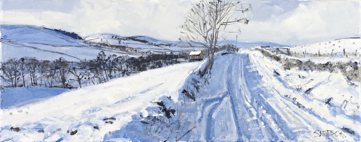 Wintervallei, 2011 (olieverf op doek) door Charles Simpson
