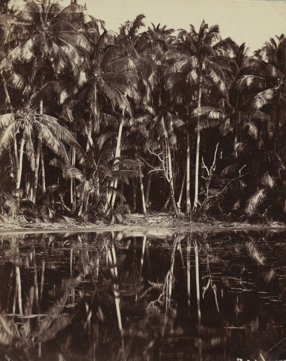 Tetiaroa - Een lagune van de Paumotu, 1880s of 1890s door Charles Spitz