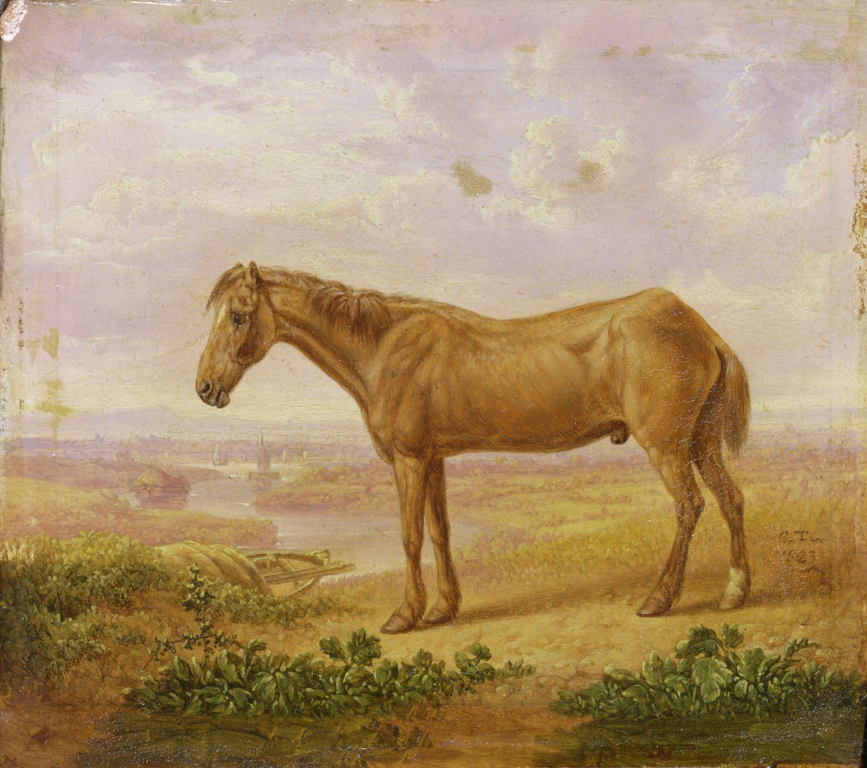 Oude Billy, een Trekpaard, 62 jaar oud door Charles Towne