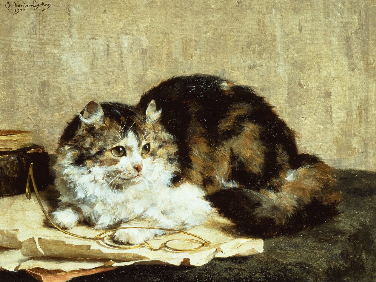 Een Cyperse Kat door Charles van den Eycken