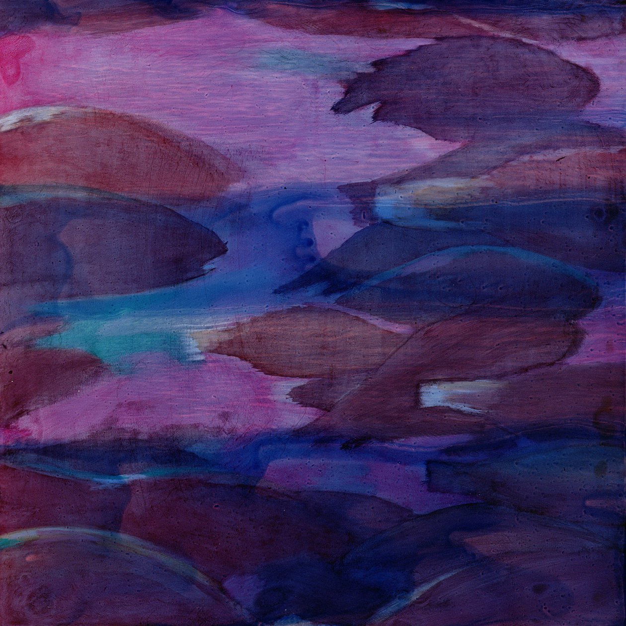 Paarse Papegaaien VI, 2000 door Charlotte Johnstone
