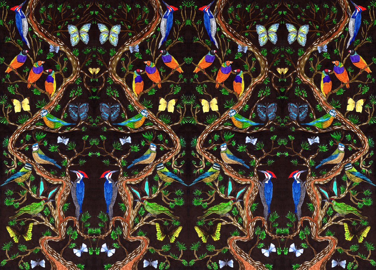 Vogels en vlinders, 2019 door Charlotte Orr
