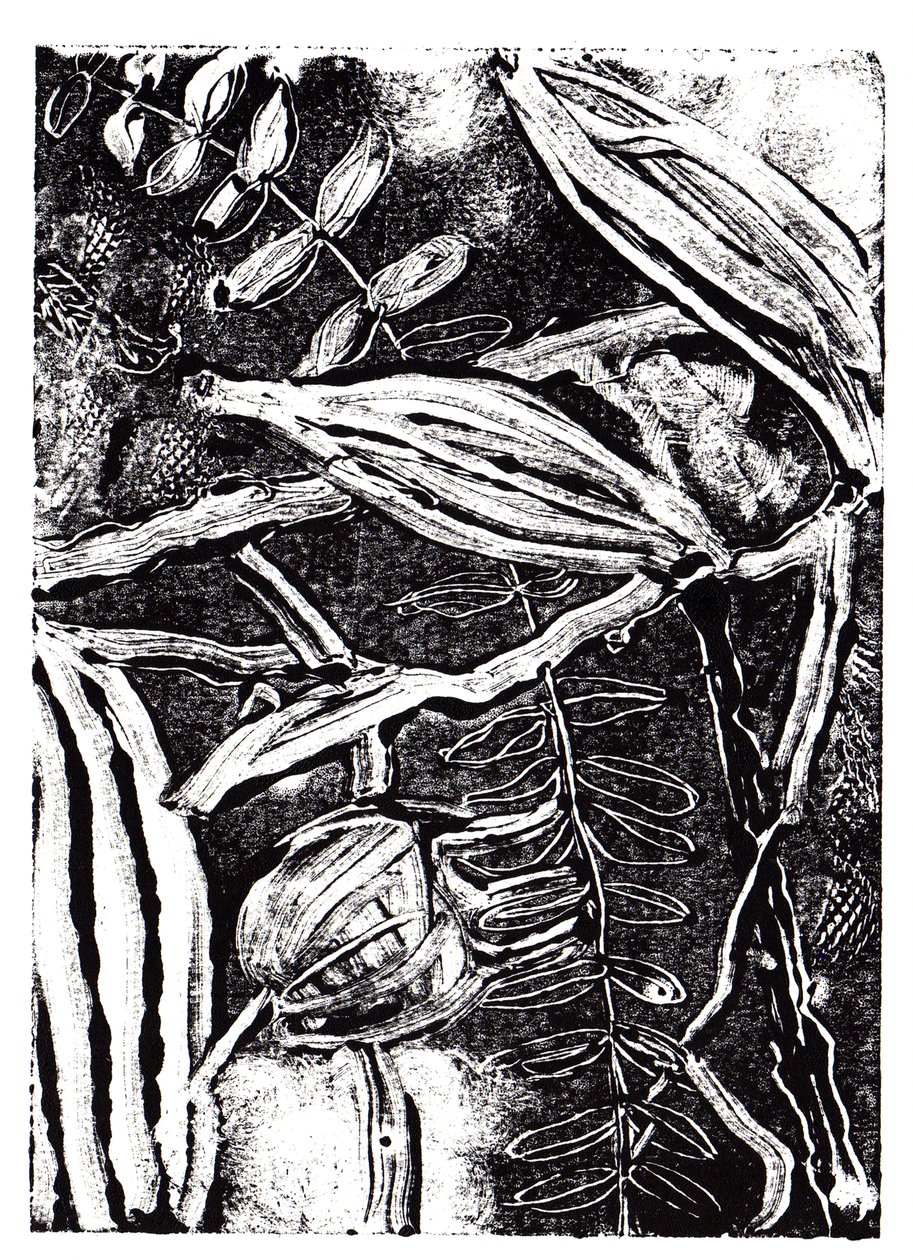 Inktplanten, 2019 door Charlotte Orr