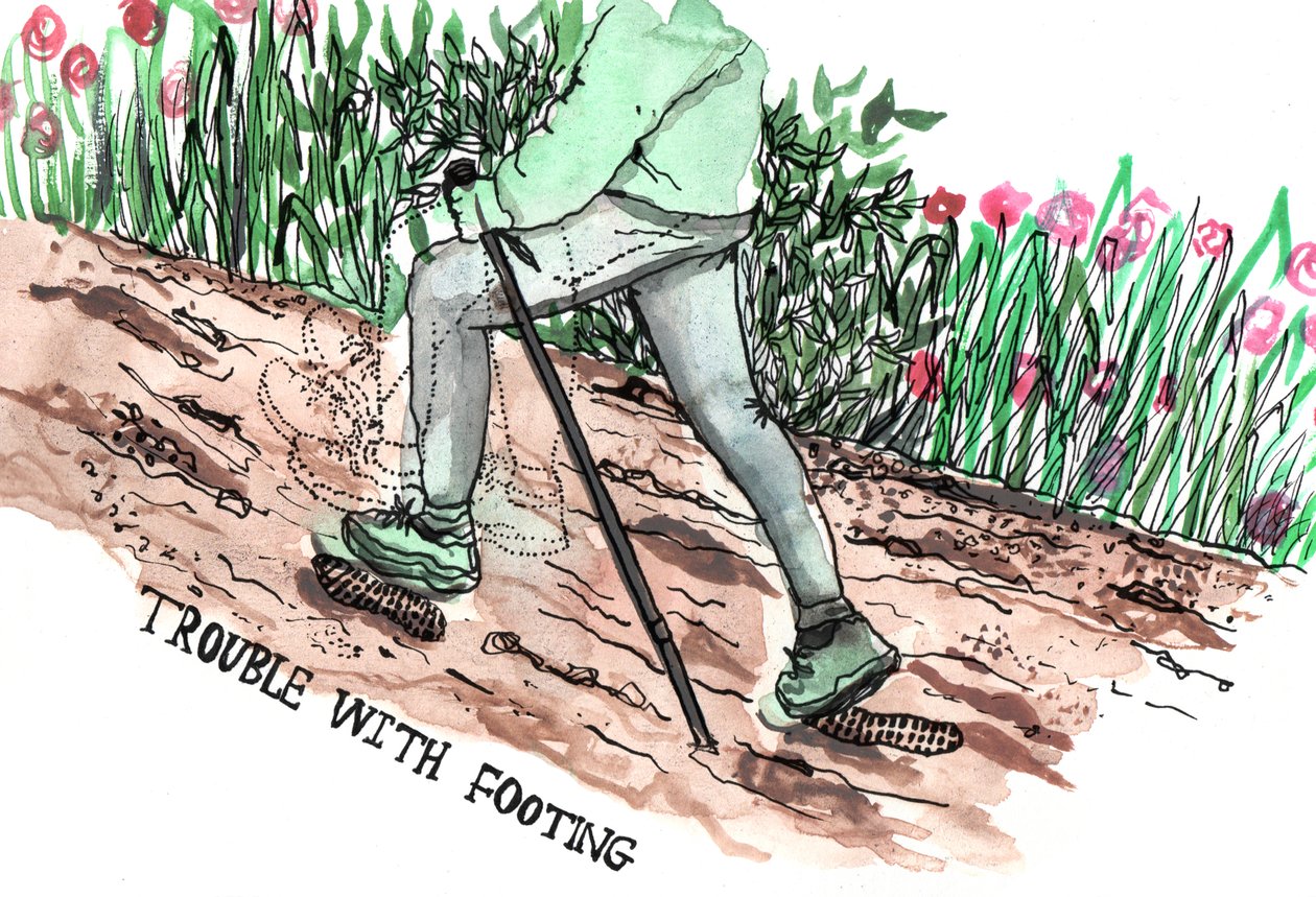 Parkinson Illustraties, 2019 door Charlotte Orr