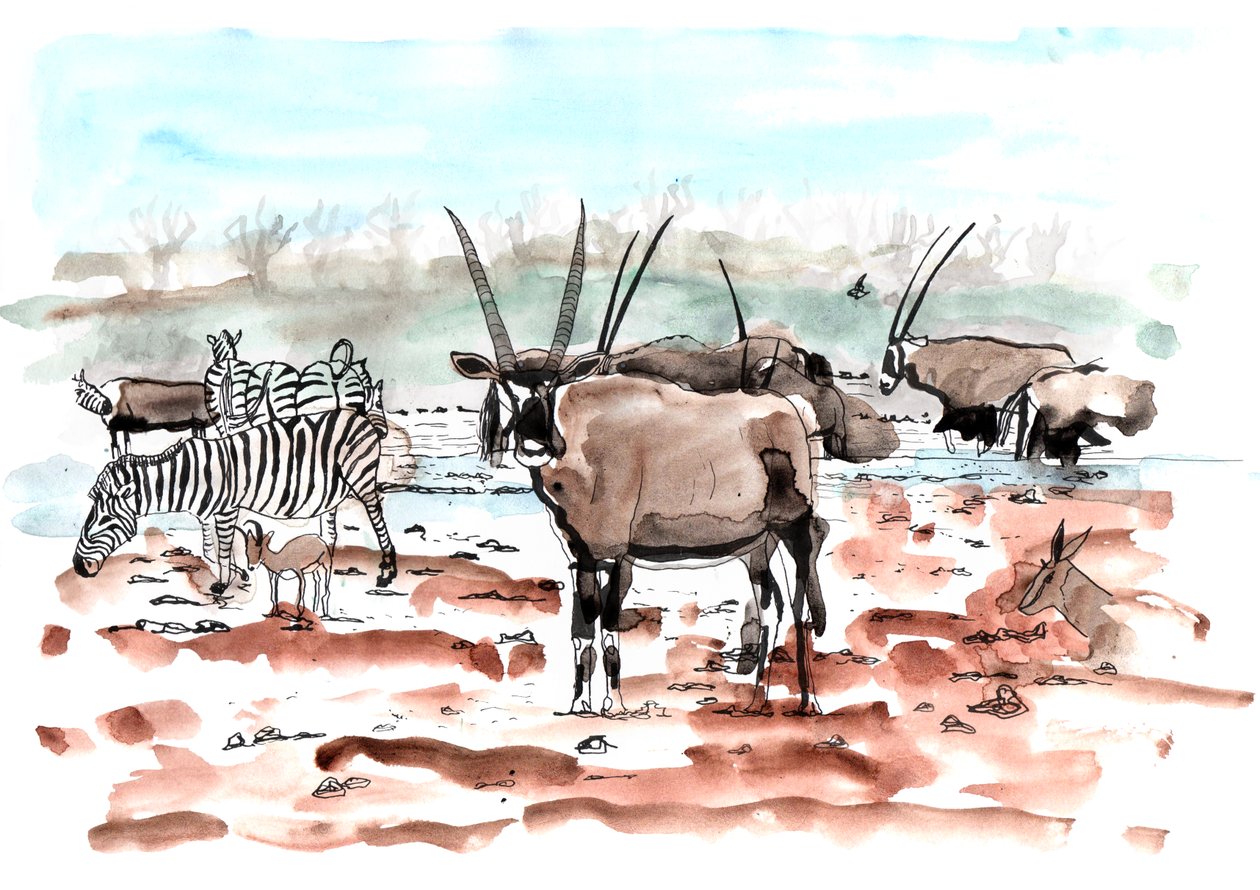 Safari, 2018 door Charlotte Orr