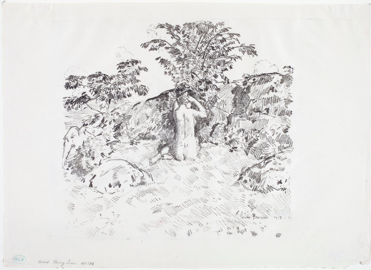 Wilde Kersenboom door Childe Frederick Hassam