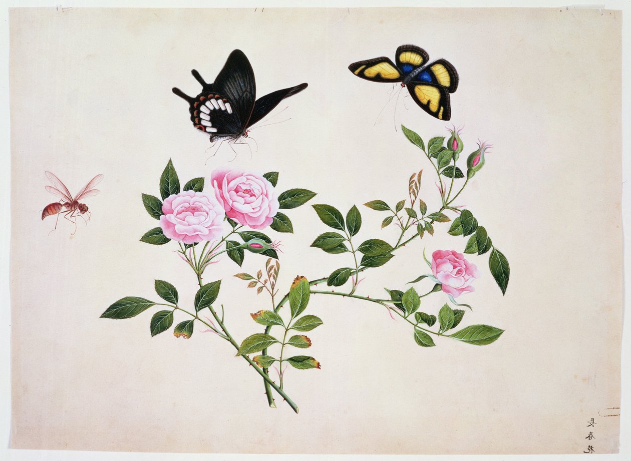 PD.273-1973 Rozen in knop en bloei met vlinders en insecten door Chinese School