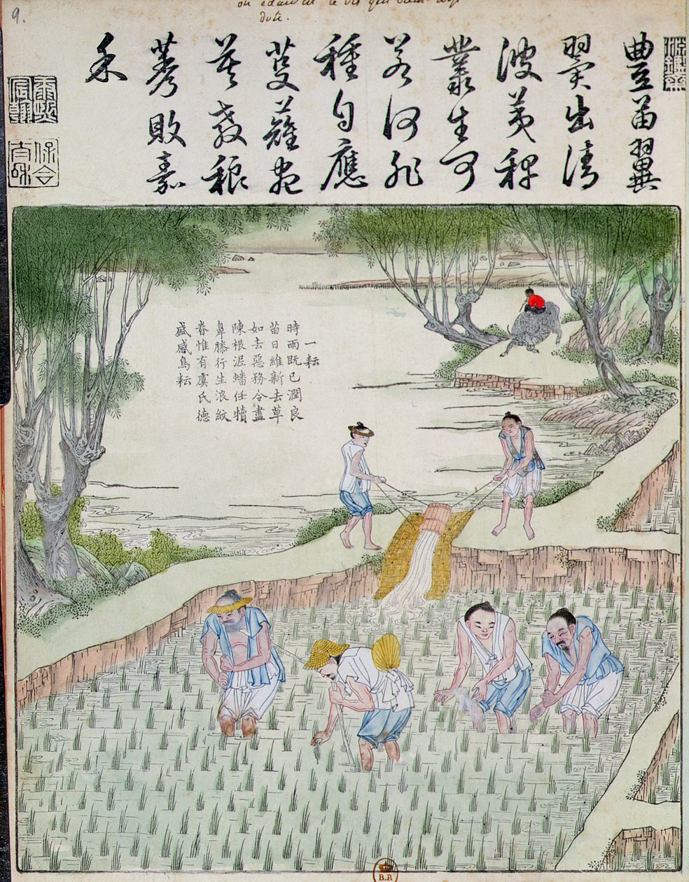Wieden, De Rijstcultuur in China door Chinese School