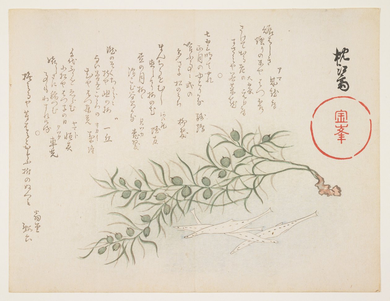 Kleine witte vis en waterplant, ca. 1854-59 door Chinksai