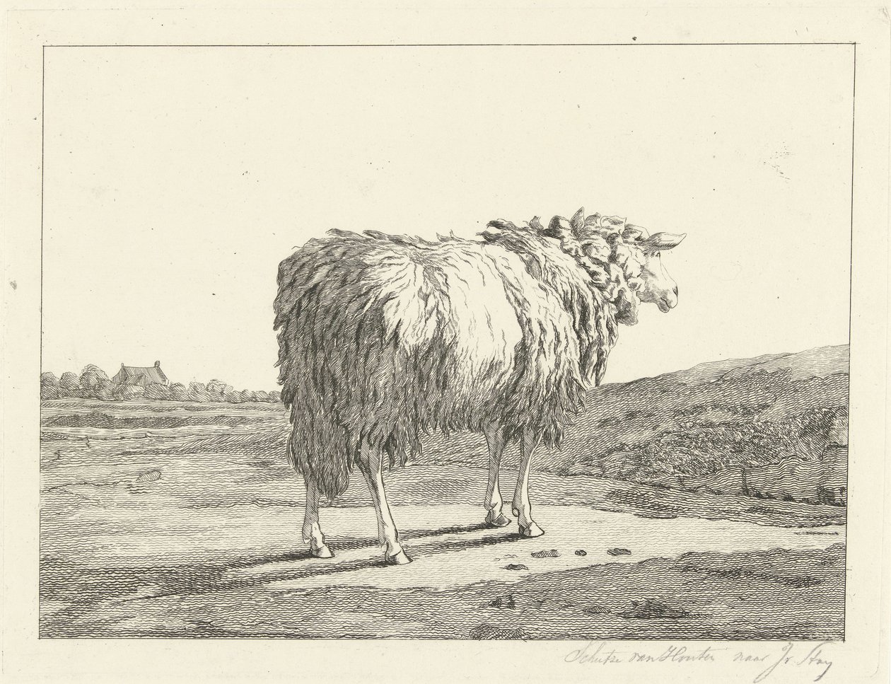 Schaap in een landschap door Christiaan Godfried Schutze van Houten