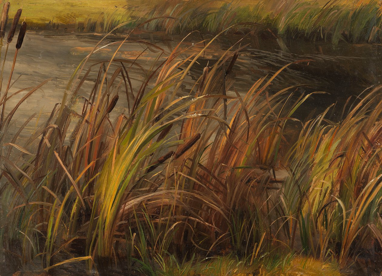Duits: Schilf am herbstlichen Bachufer Riet aan de herfstbeek door Christian Friedrich Gille