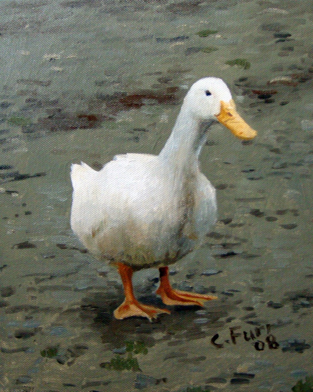 Gans, 2006 (olieverf op doek) door Christian Furr