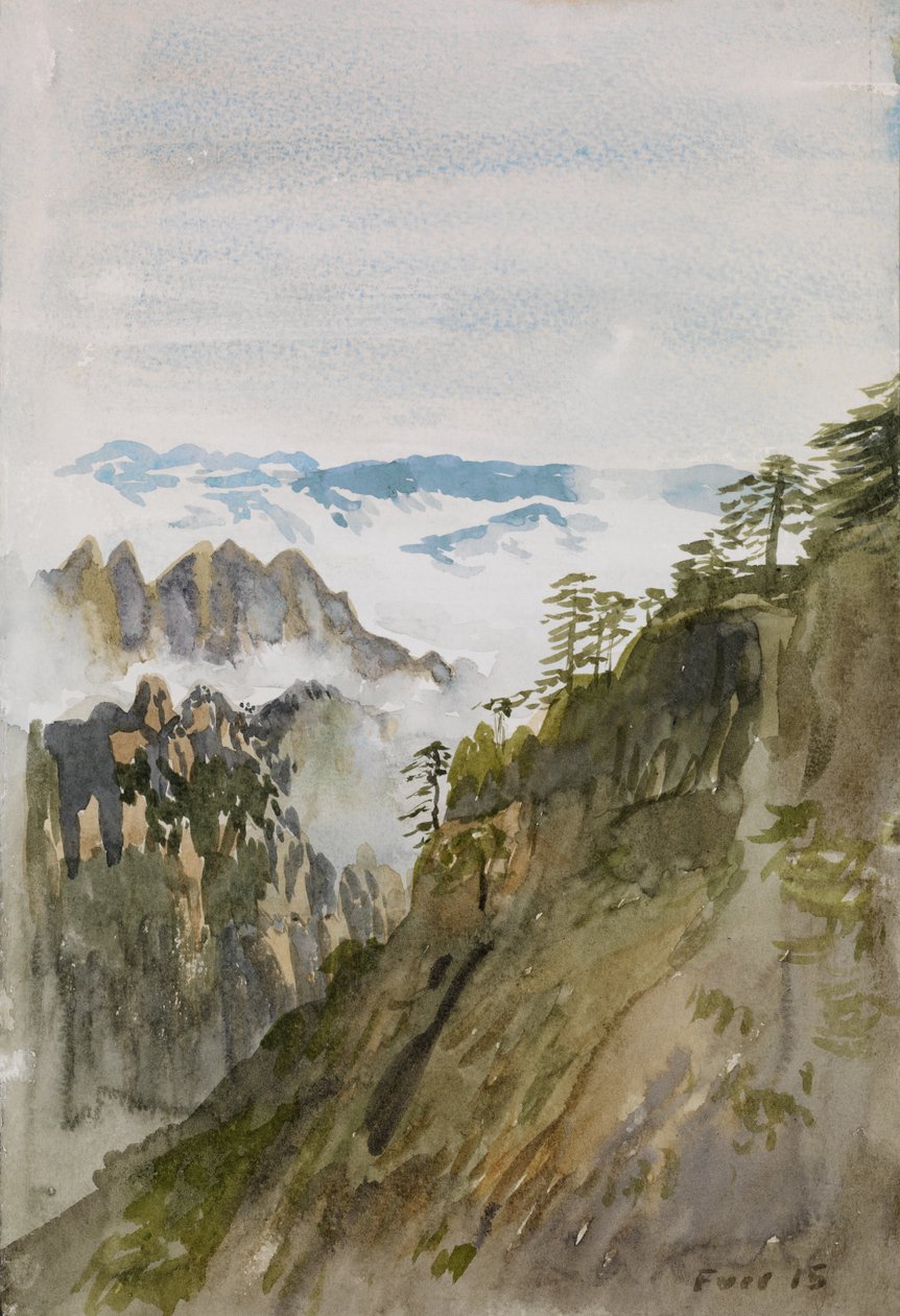 Gele Bergdennen, Huangshan, 2015 door Christian Furr