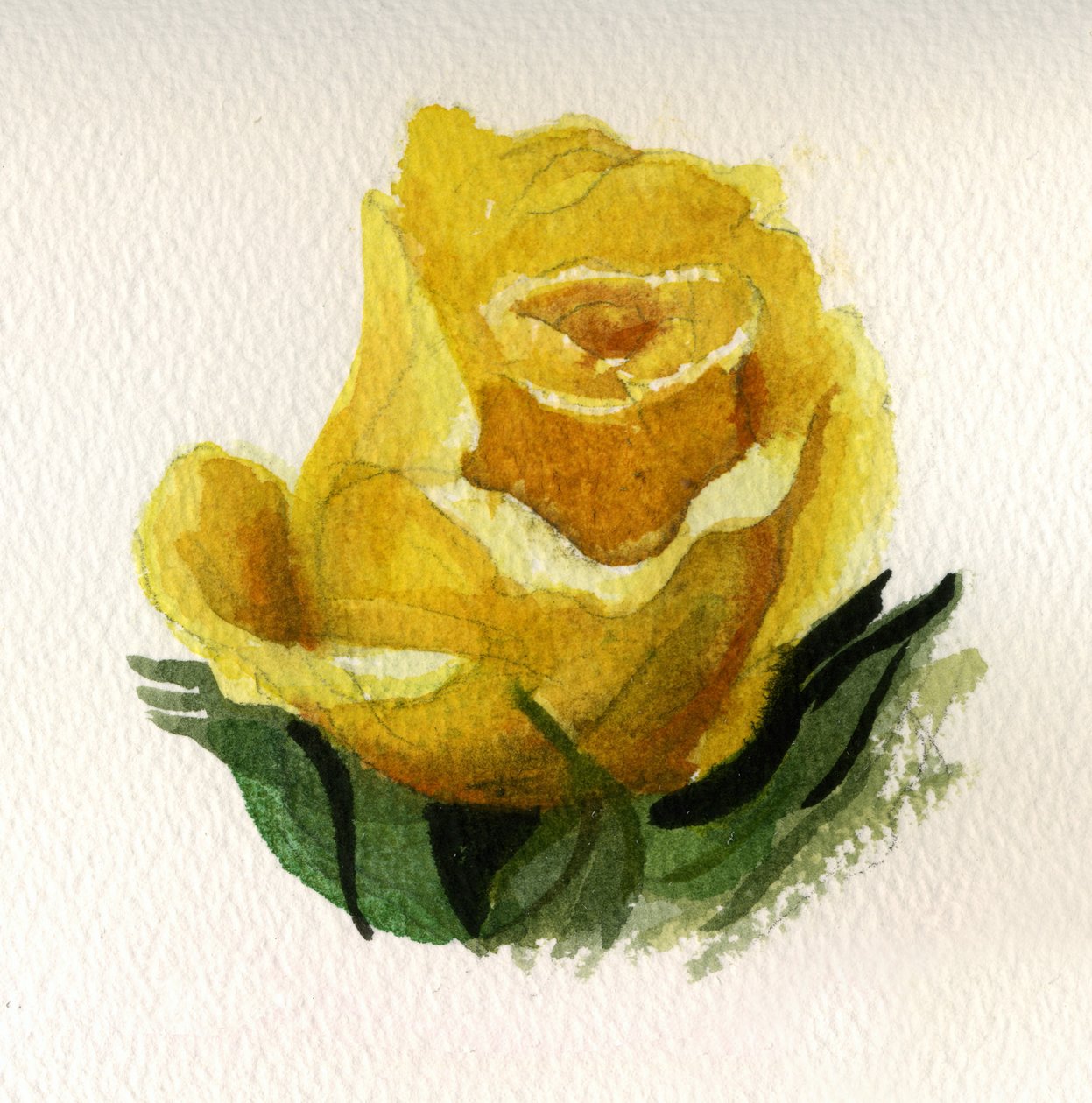 Gele roos, 2009 (aquarel op papier) door Christian Furr