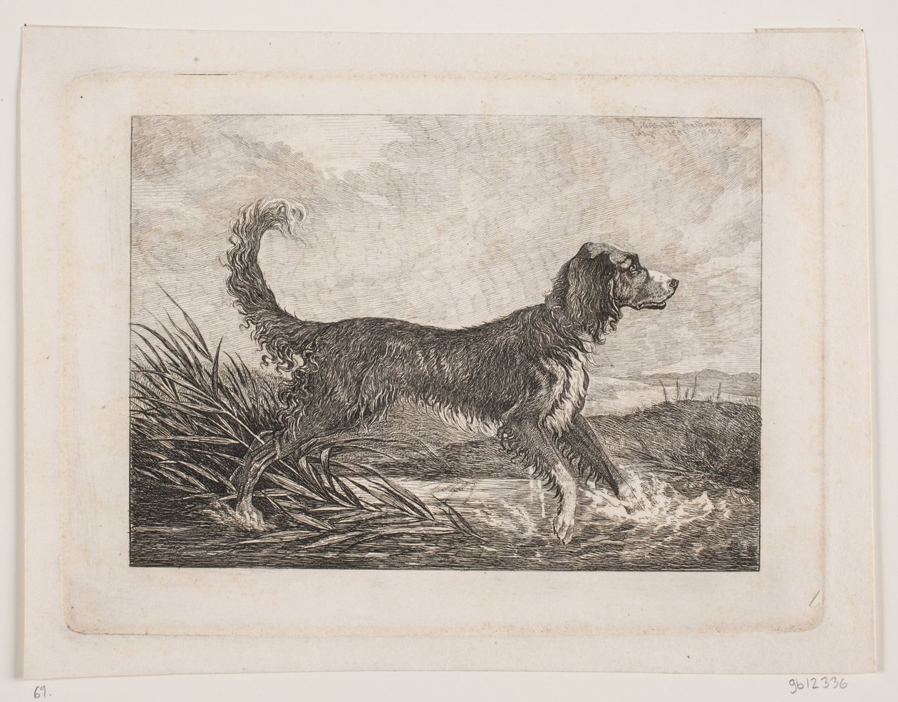 Een hond door Christian Holm