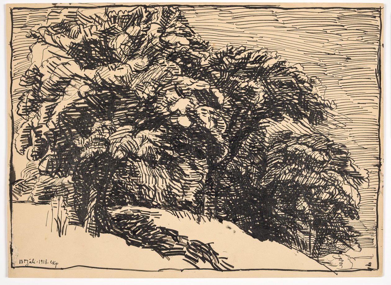 Eikenbomen op een oever door Christian Kongstad Petersen