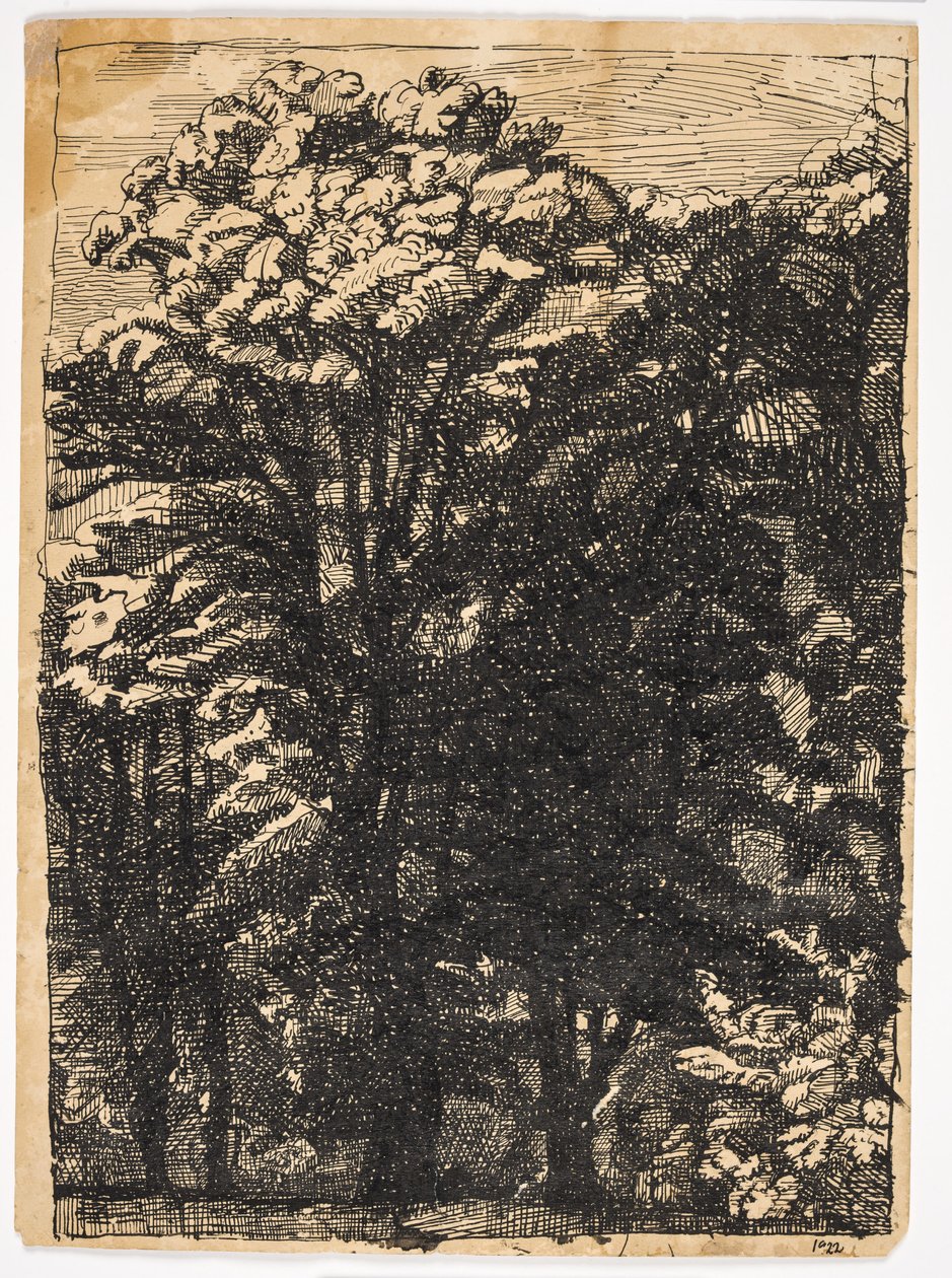 Bomen door Christian Kongstad Petersen