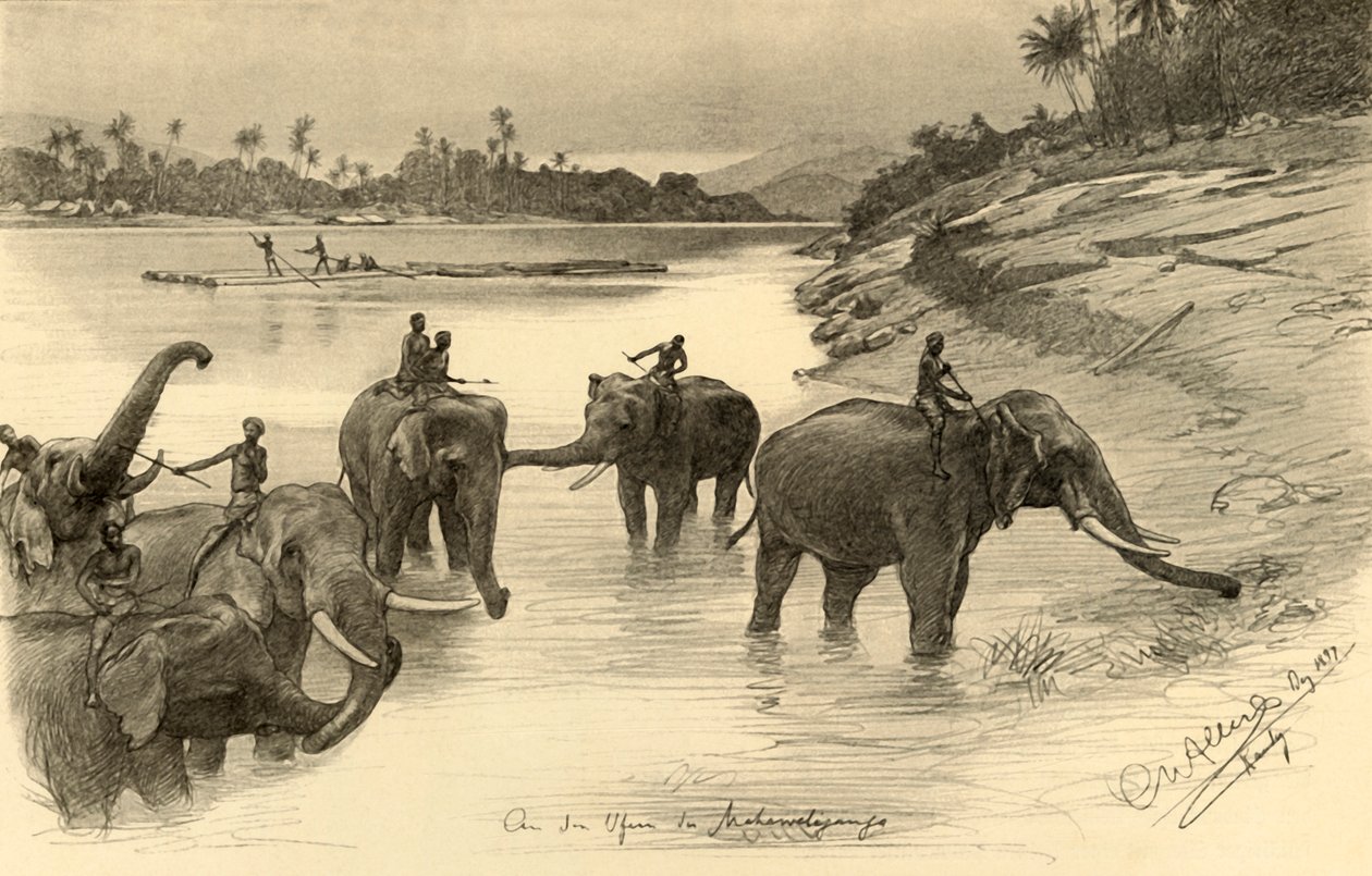 Olifanten aan de Oevers van de Mahaweli Rivier, Ceylon door Christian Wilhelm Allers