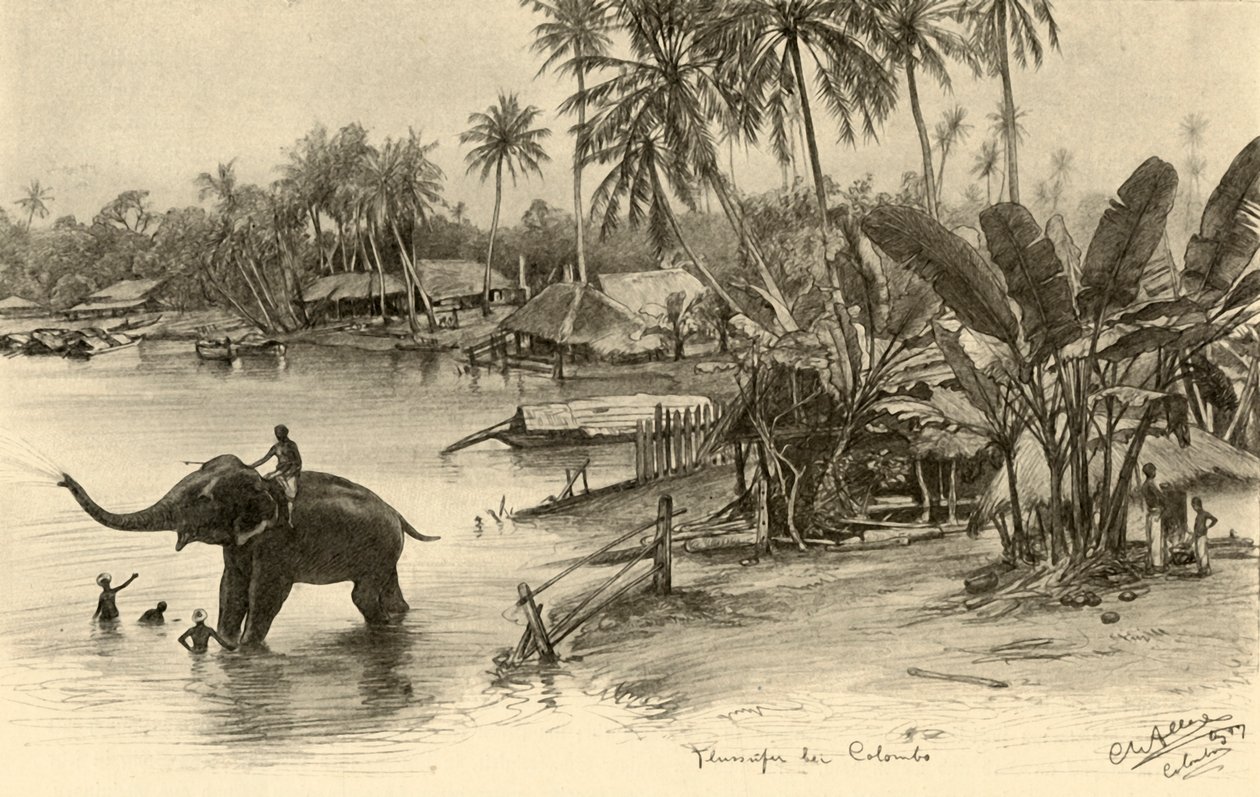 Een olifant wassen in de rivier, Colombo, Ceylon, 1898 door Christian Wilhelm Allers