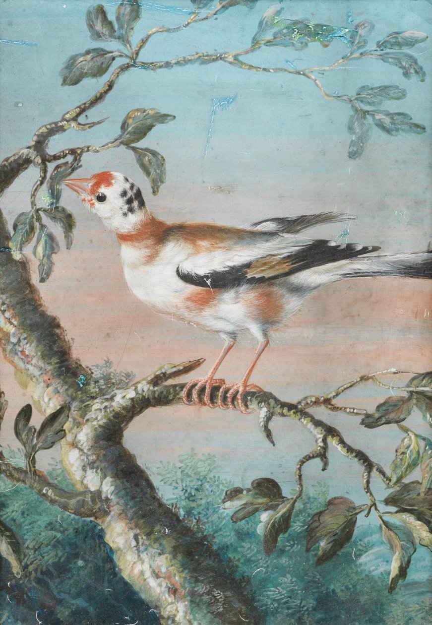 Een vogel zittend op een tak door Christoph Ludwig Agricola