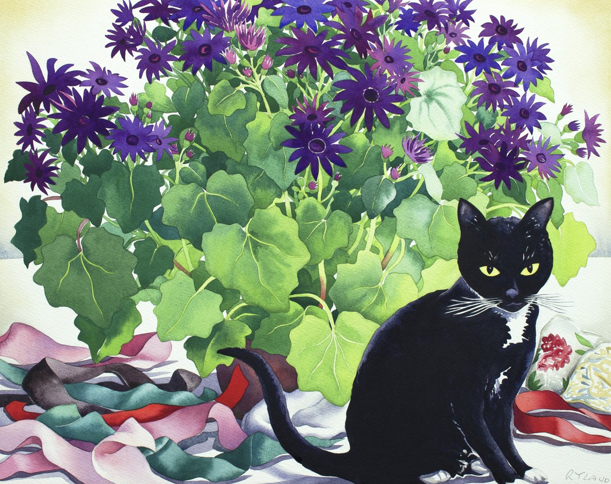 Senetti Plant en Kat door Christopher Ryland