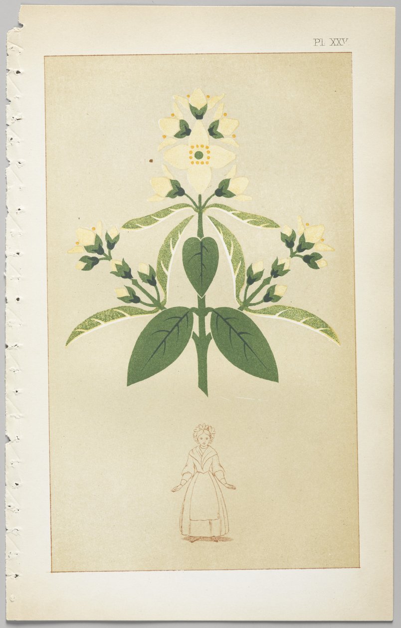 De kunst van decoratief ontwerp: met een bijlage, waarin de uren van de dag worden gegeven waarop bloemen opengaan, uitgegeven door Day & Son, Londen, 1862 door Christopher Dresser