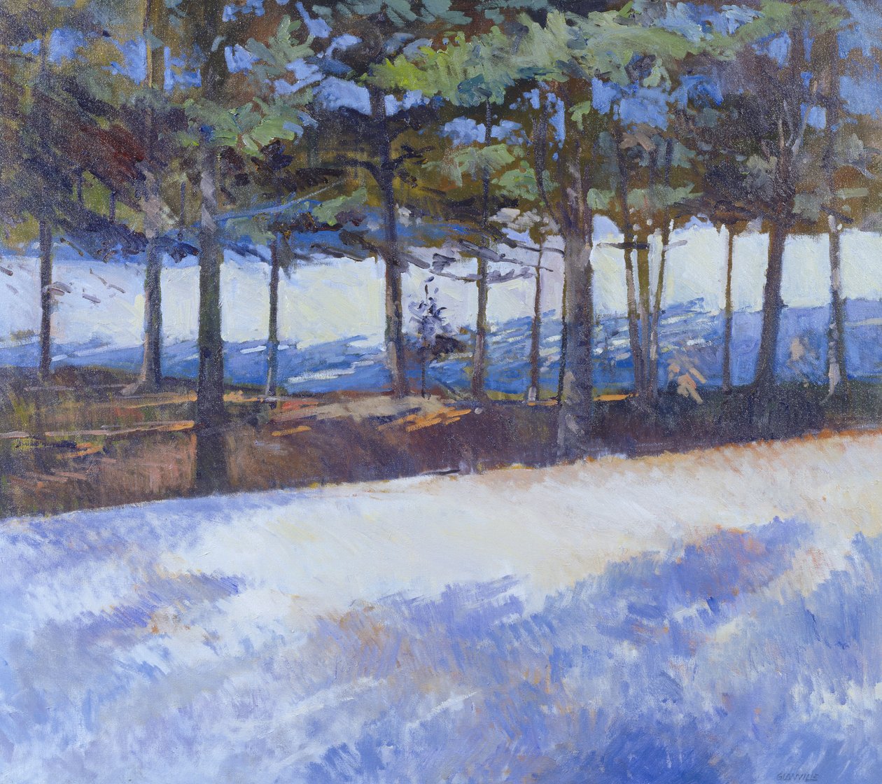 Bevroren Meer, New York State door Christopher Glanville