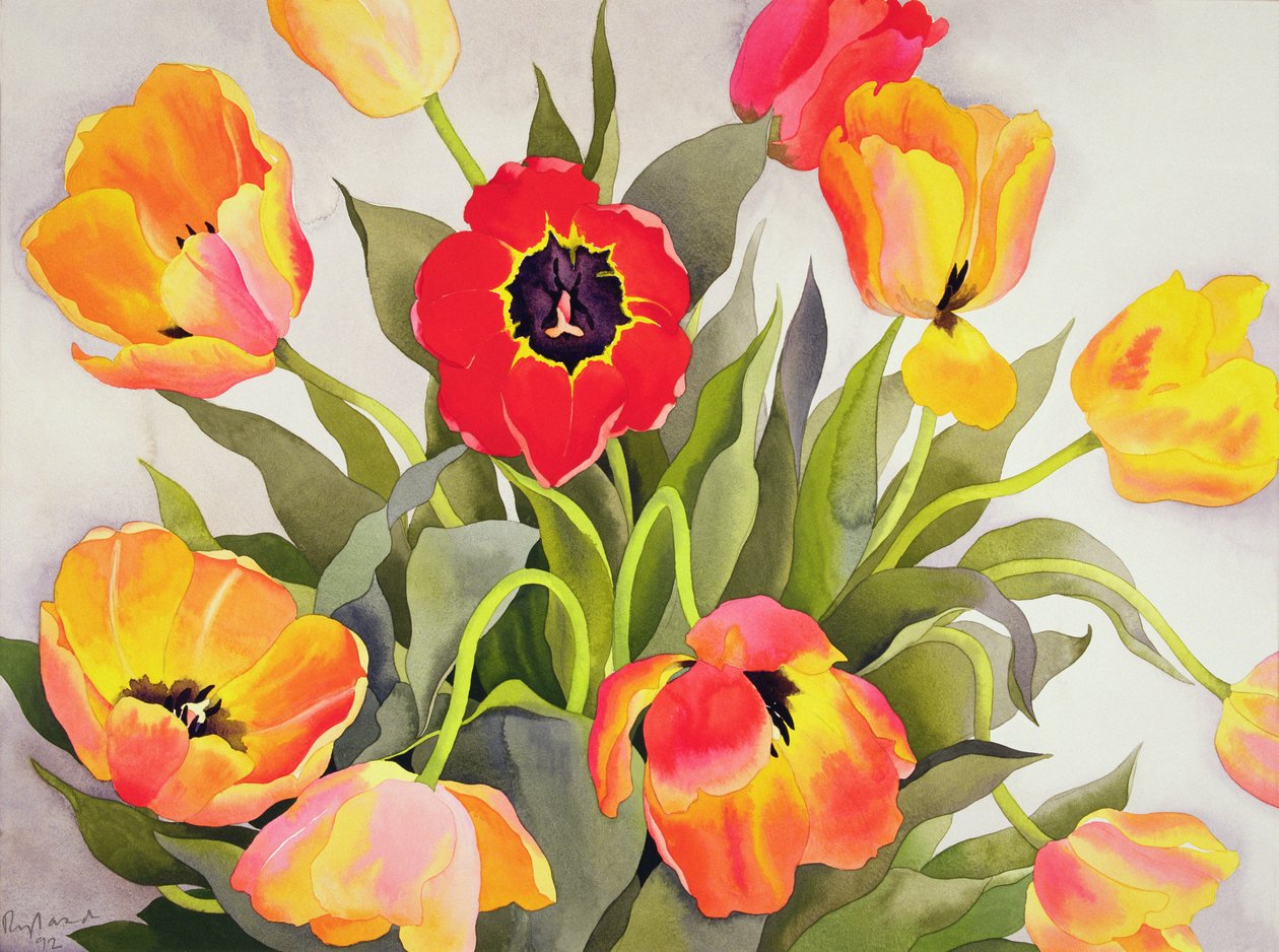 Oranje en Rode Tulpen door Christopher Ryland