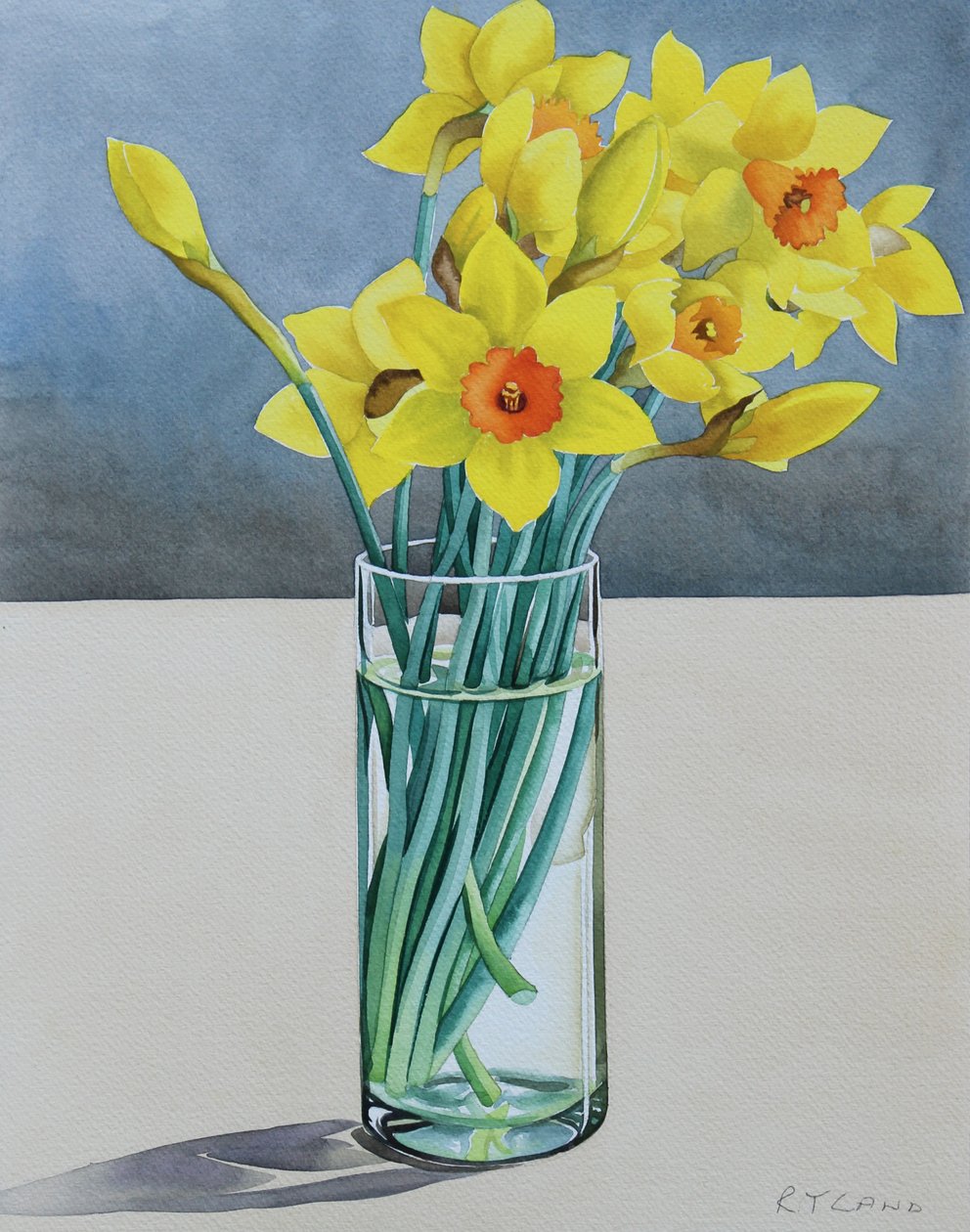 Supermarkt Narcissen, 2022 door Christopher Ryland